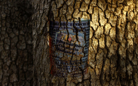 Renault GRIS AGENT KNX, Эмаль Du Rall (KNX, SP, Metallic/Xirallic/Pearl)