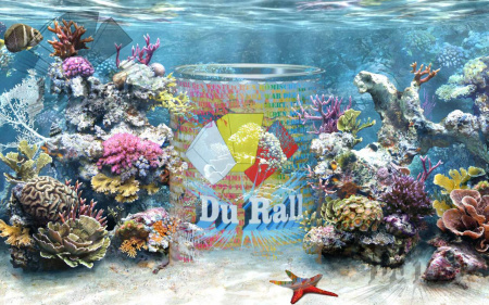 Ral 7025 GRIS, Эмаль Du Rall (Ral 7025, BC, 2K Acryl)